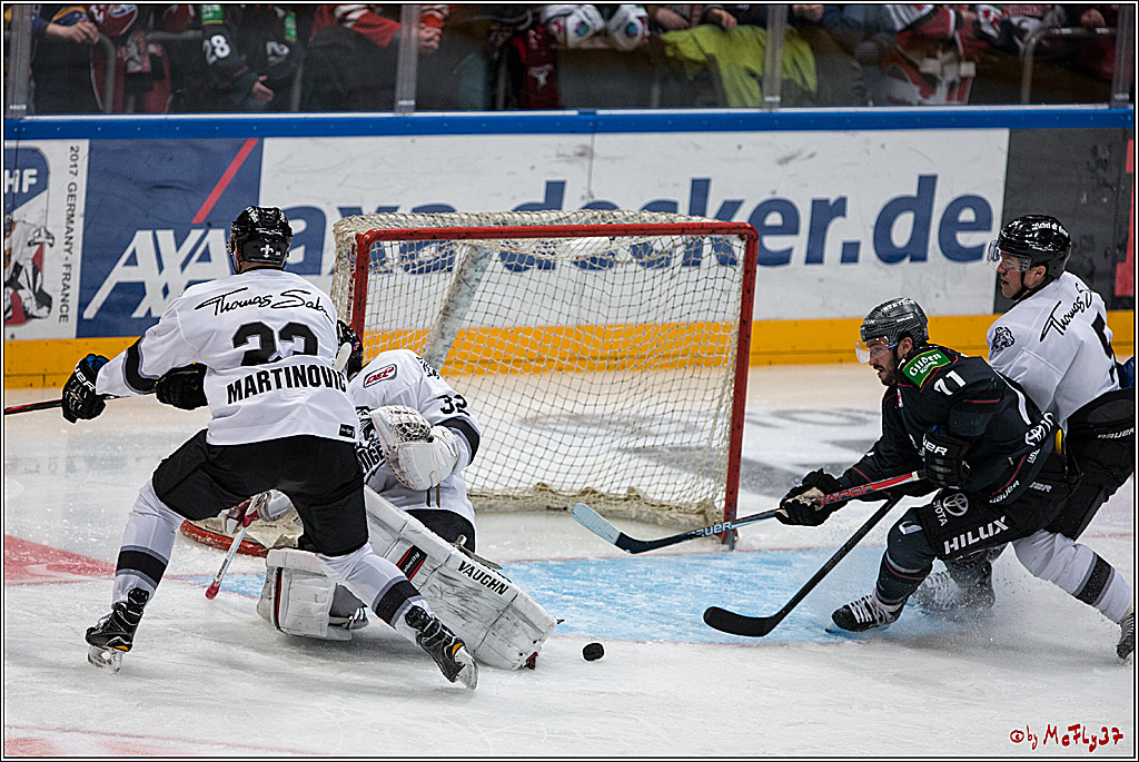 DEL, Koelner Haie - Nuernberg Ice Tiger, 24.01.2017